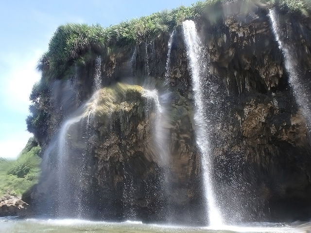 �䕗���J�̌�ɂ͌��̑ꂪ�o���I_�}�����T�|�[�g�^�C�h�{��