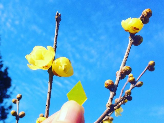 ����K���X�����v�����F�{