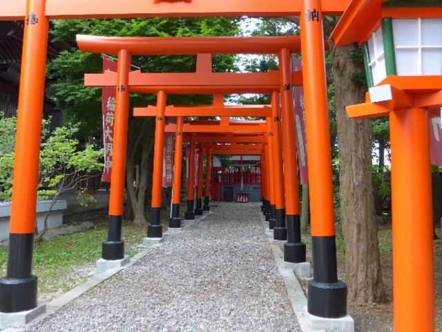 ���q�_��