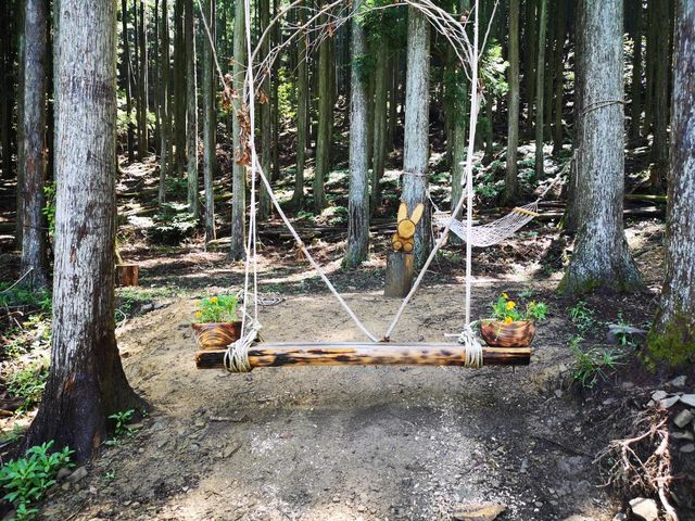 �Δn���}�l�R�H�[