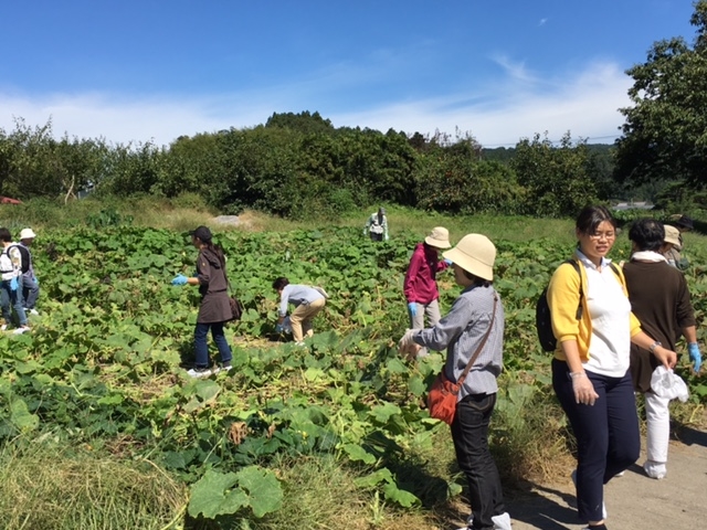 ���ڂ���̎��n_�l�G�ʍ؍H�[