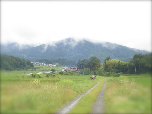 �Ă̒����@�c��ڕ��i_�l�G�ʍ؍H�[