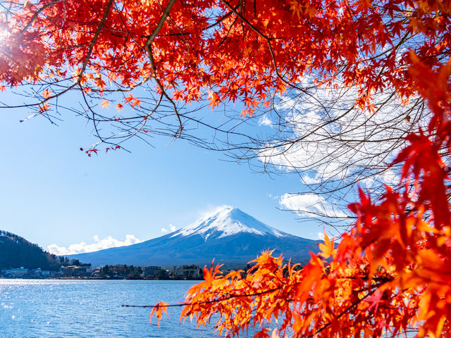 �x�m�R��i�X�|�b�g�Ƃ��Ēm����͌��΁B�x�m�Ƃ͉͌��΂܂ŎԂ�5���̍D���n�ɂ������܂��B�̌��̑O��ɐ���K��Ă݂Ă��������B_���y�����̌������@�x�m��