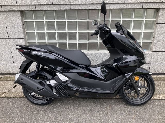 PCX125_���g�n�[�o�[1
