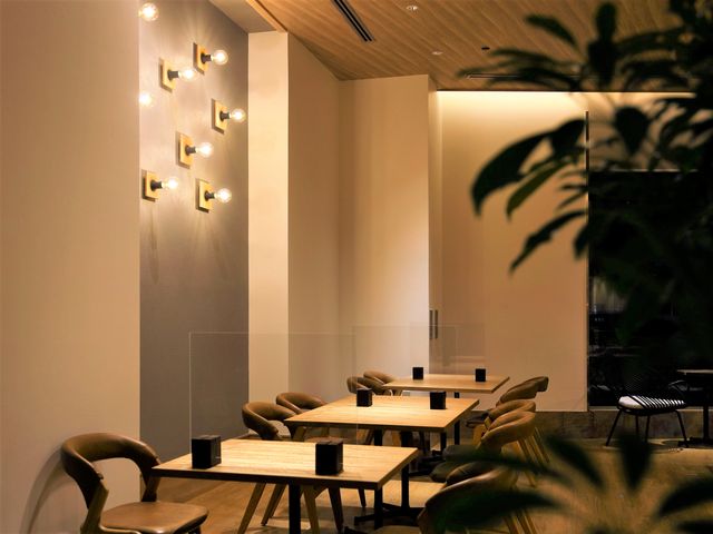 �V�F�t�Y�e�[�u���X���i��j_ANA�z���f�C�E�C�����