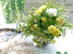 Aloha Sophia̎ʐ^1