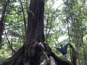 ΔnόKCh̉񂱂̎ʐ^3