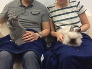 JtFEX White Rabbit̎ʐ^1