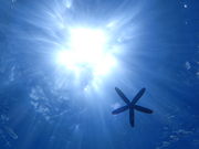 Nature Guide Double Rainbow lC`[KCh@_uC{[̎ʐ^3