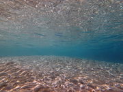 Nature Guide Double Rainbow lC`[KCh@_uC{[̎ʐ^4