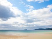 VRfނ̂̂Â̌@ܓ֕Yف`ÂE֖E񂱂݁`̎ʐ^2