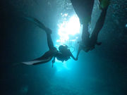 OkinawaDiving Suns̎ʐ^2