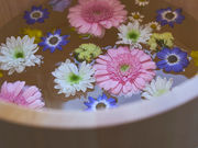 �����@������דX�̎ʐ^2