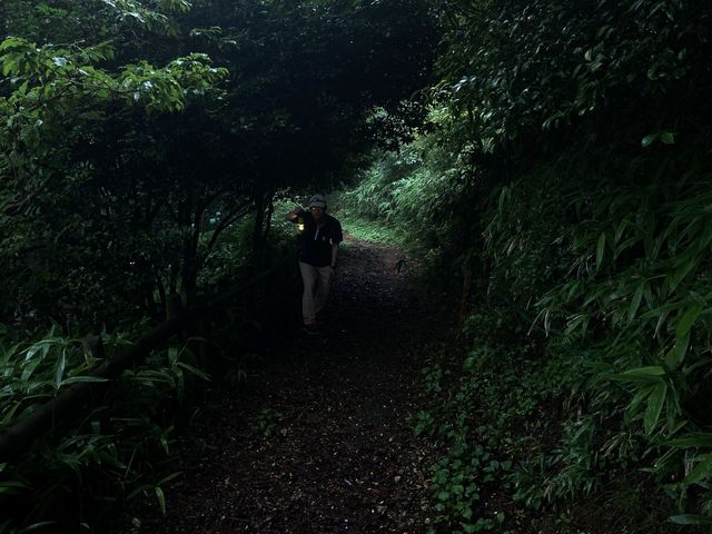 �i�C�g�A�h�x���`���[6�̗l�q�B�Â������������v��w�b�h���C�g�ŒT�����Ă����܂�_�Z�b�R�A�h�x���`���[�X�N�[��