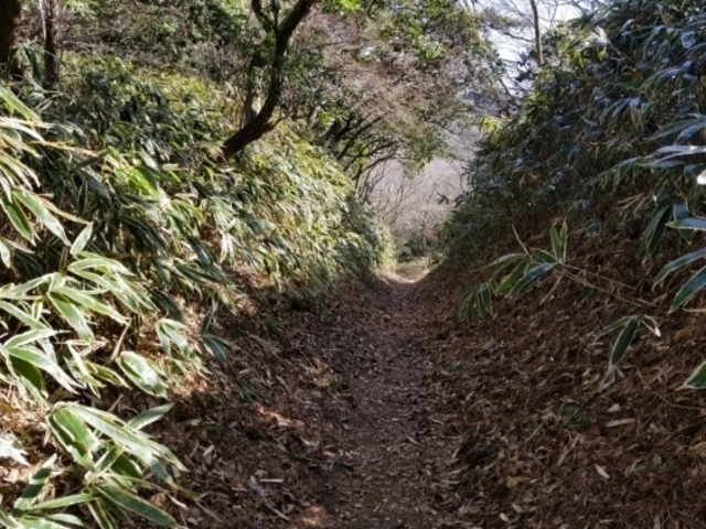 トレッキングコース。六甲山の自然をココロとカラダで感じながら、リフレッシュいただけます。_六甲山アドベンチャースクール