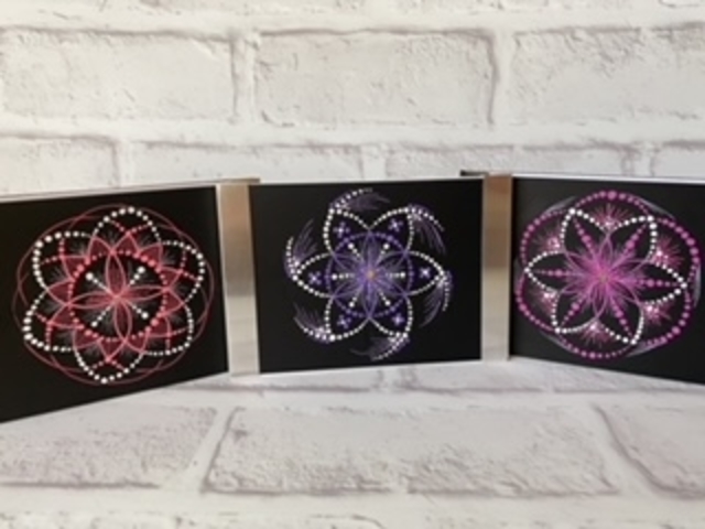 �V�[�h�I�u���C�t�`�n�܂���Ӗ����܂�_���F�̊w�Z�@�_�ː���