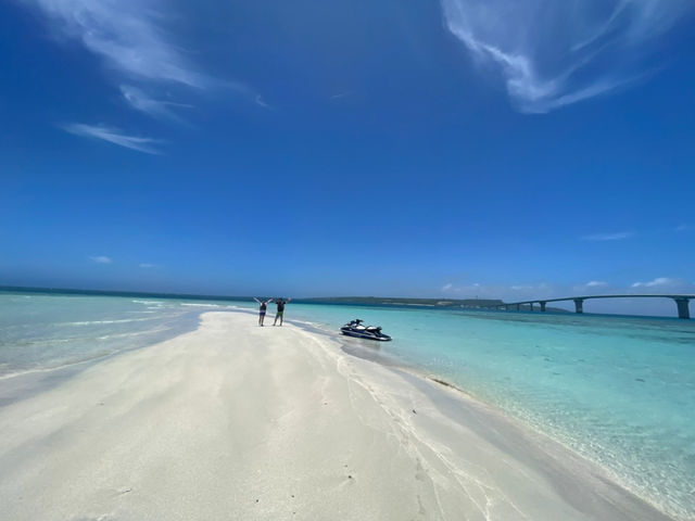 �t�@�C�u�I�[�V�����{�Ó�