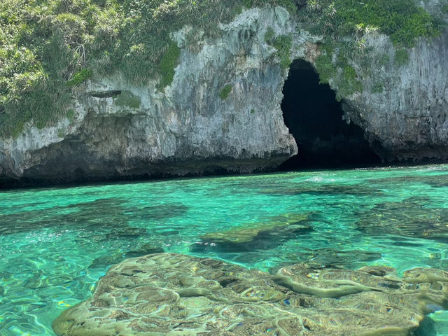 �t�@�C�u�I�[�V�����{�Ó�