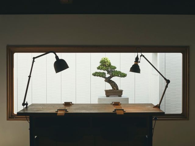 �X��_glanta Kyoto �O���͌����X