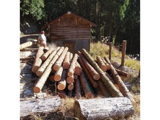 ���؂̓y��_�V�}���g���������c