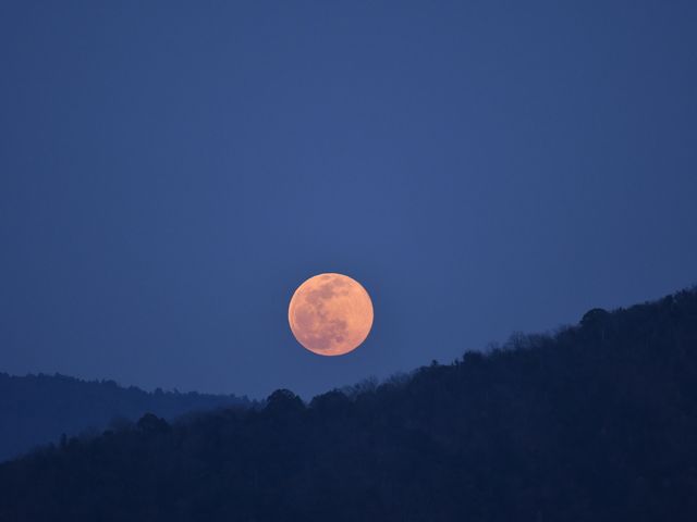 iCgcA[Ă܂I̓cA[_LOBO RAFTER ({t^[)