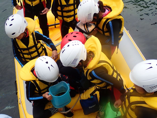 AA߂ꂽ́H
ȁH_LOBO RAFTER ({t^[)