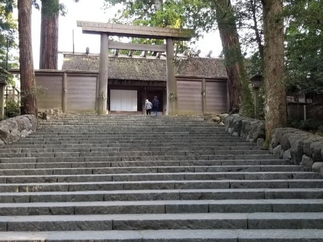 ���{�i���{�j_��C�^�N�V�[