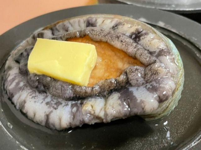 �����_��C�^�N�V�[