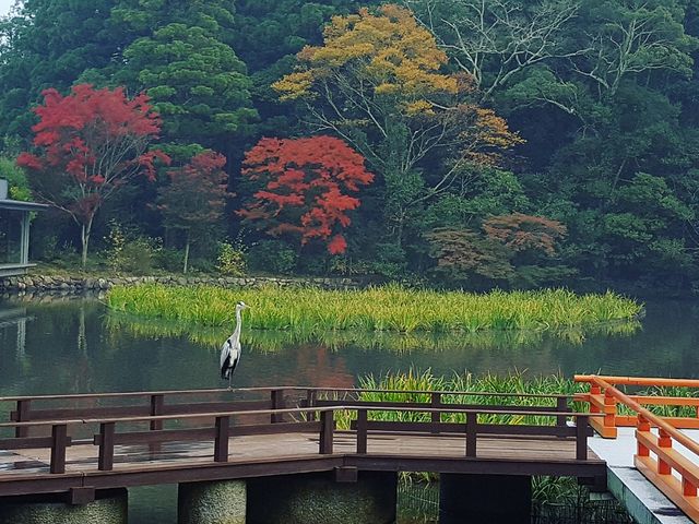 �O�{�i���ʒr�j_��C�^�N�V�[