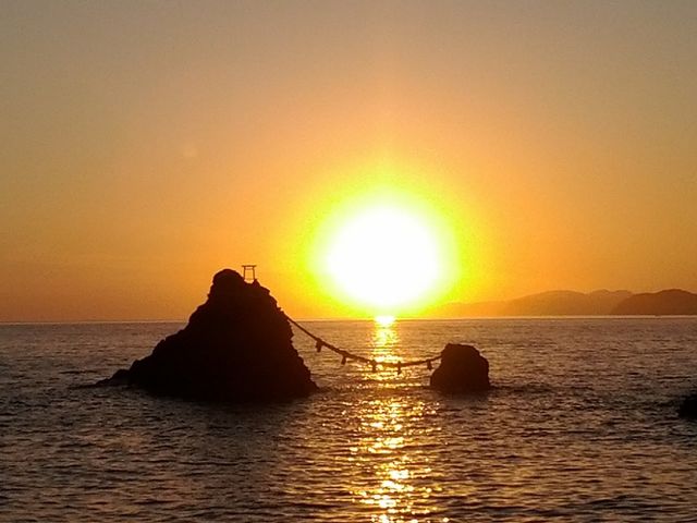 �񌩃��Y�i�v�w��j_��C�^�N�V�[