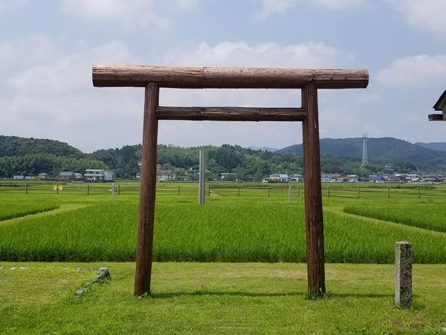 �ɎG�{�i��_�c�j_��C�^�N�V�[