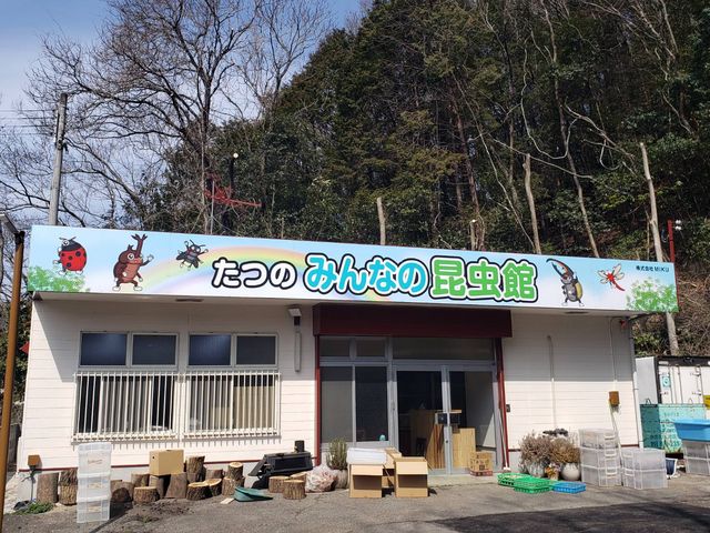 ���݂̂�Ȃ̍�����