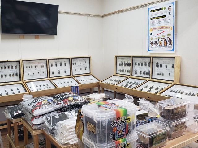 ���݂̂�Ȃ̍�����