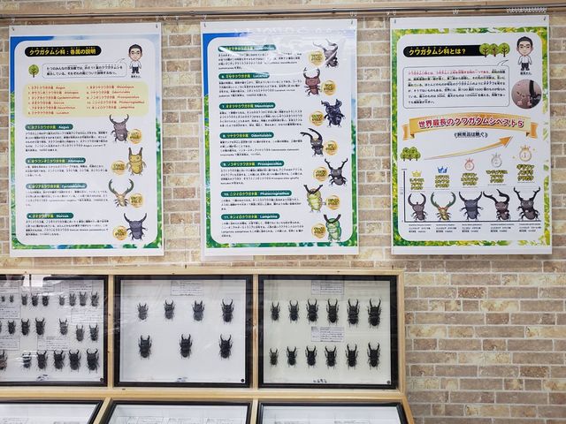 ���݂̂�Ȃ̍�����