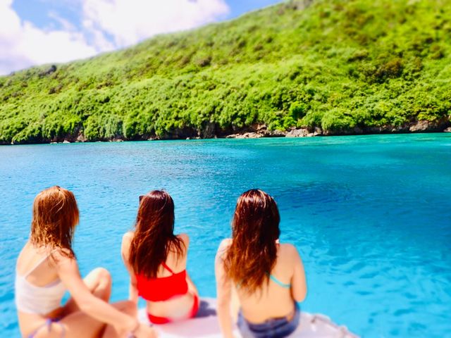 �������}����