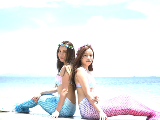 �������}����