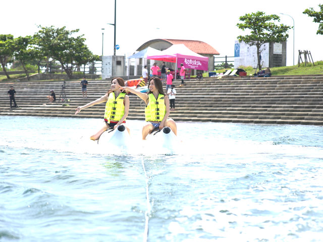 �������}����