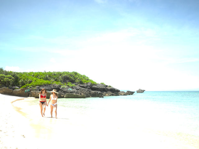 �������}����