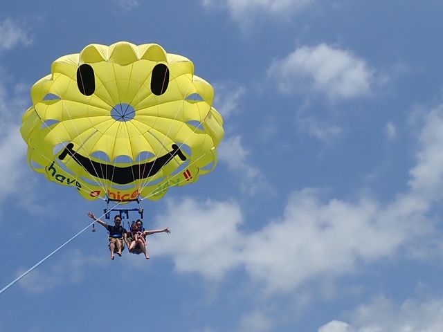 �������}����