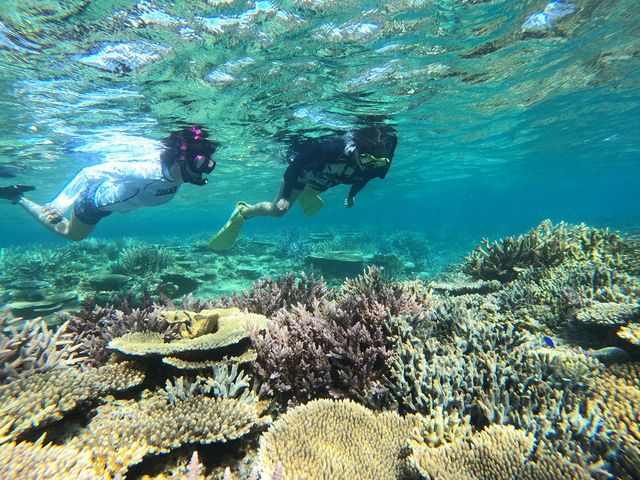 ����}�������C�t�ɂ͊y���߂�Activity�������ς��I���l���̃O���[�v�ł���l���̃O���[�v�ł��F��ȂŊC�V�сI_����}�������C�t