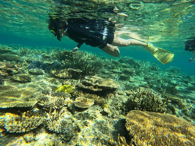 ����}�������C�t