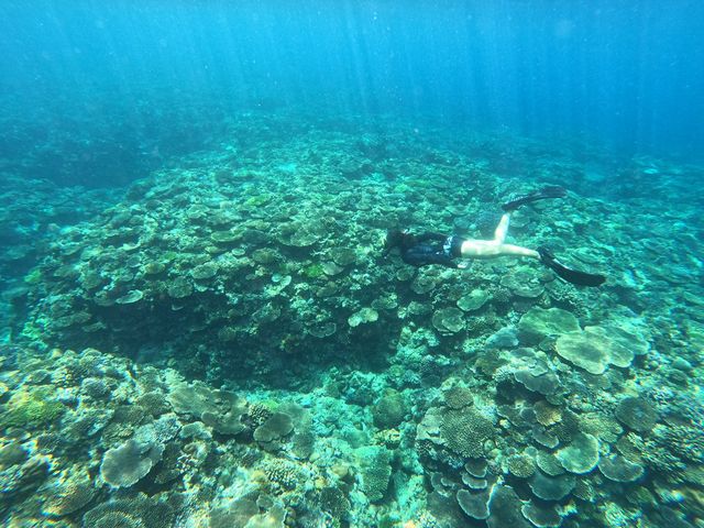 ����}�������C�t