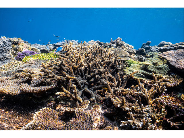 �����}�����A�N�e�B�r�e�B