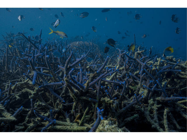 �����}�����A�N�e�B�r�e�B