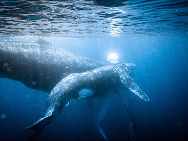 �����}�����A�N�e�B�r�e�B