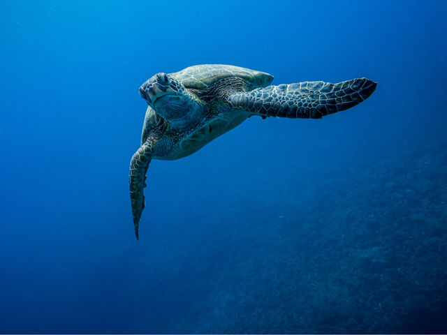 �����}�����A�N�e�B�r�e�B