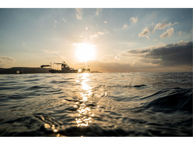 �����}�����A�N�e�B�r�e�B