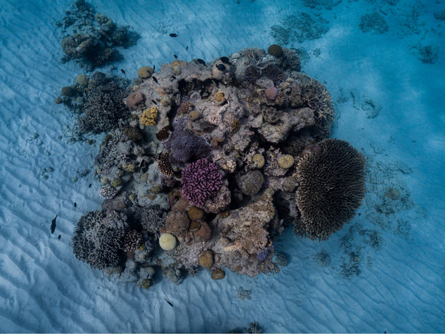 �����}�����A�N�e�B�r�e�B