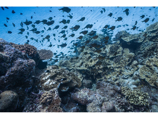 �����}�����A�N�e�B�r�e�B