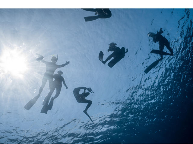 �����}�����A�N�e�B�r�e�B